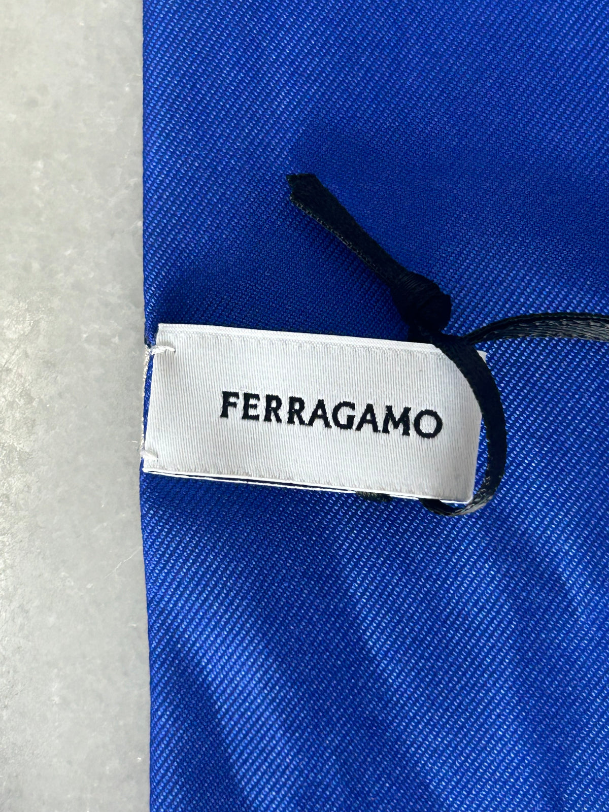 FERRAGAMO - Foliage Print Silk Twill Scarf