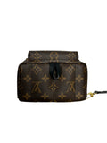 LOUIS VUITTON - Palmsprings Mini Backpack