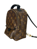LOUIS VUITTON - Palmsprings Mini Backpack