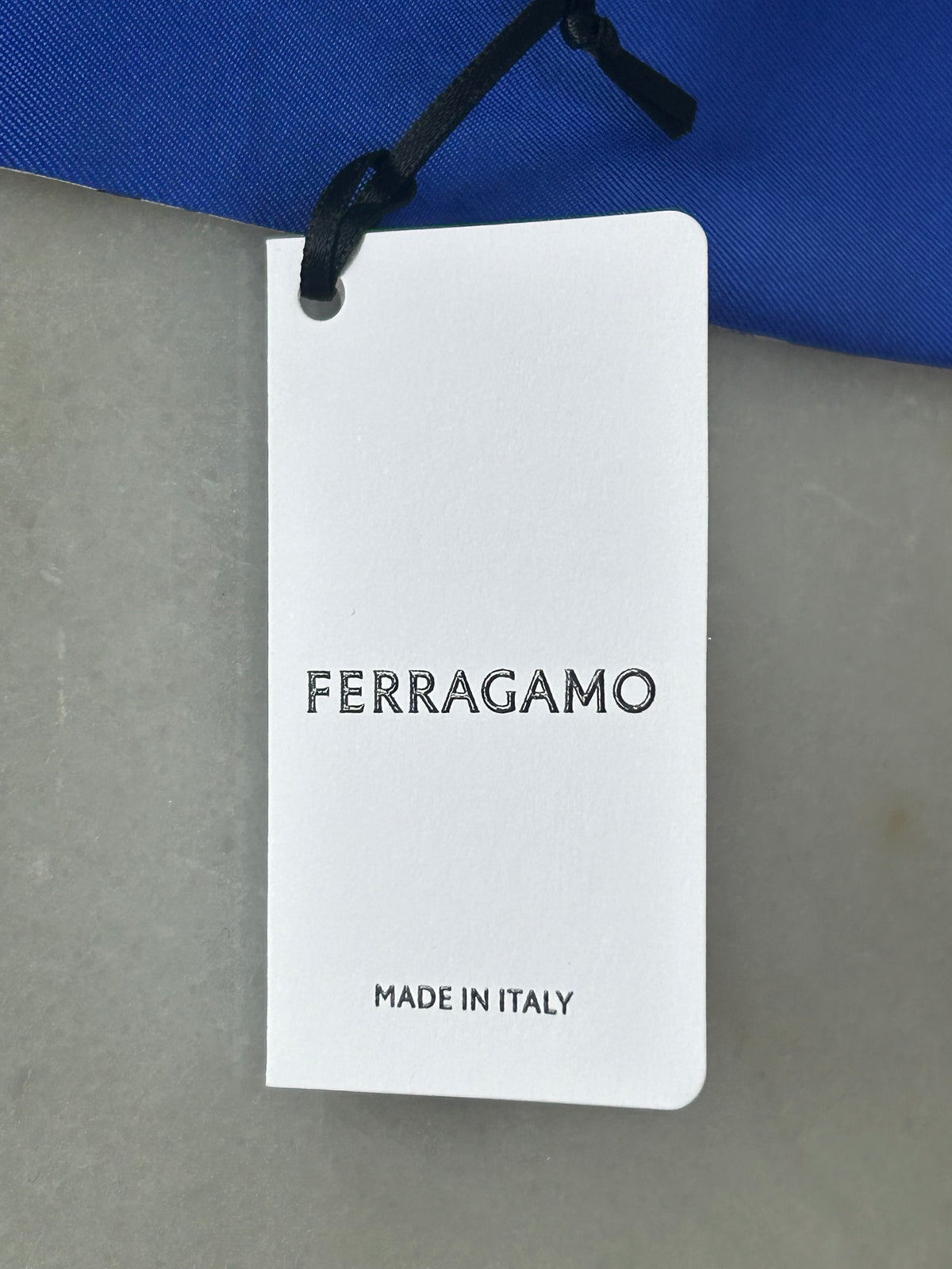 FERRAGAMO - Foliage Print Silk Twill Scarf